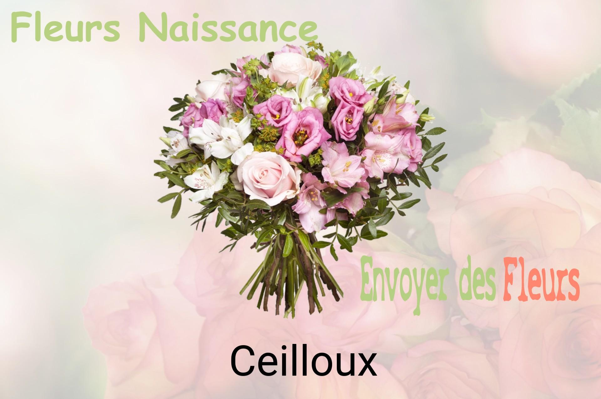 Bouquet de fleurs de naissance livré à Ceilloux