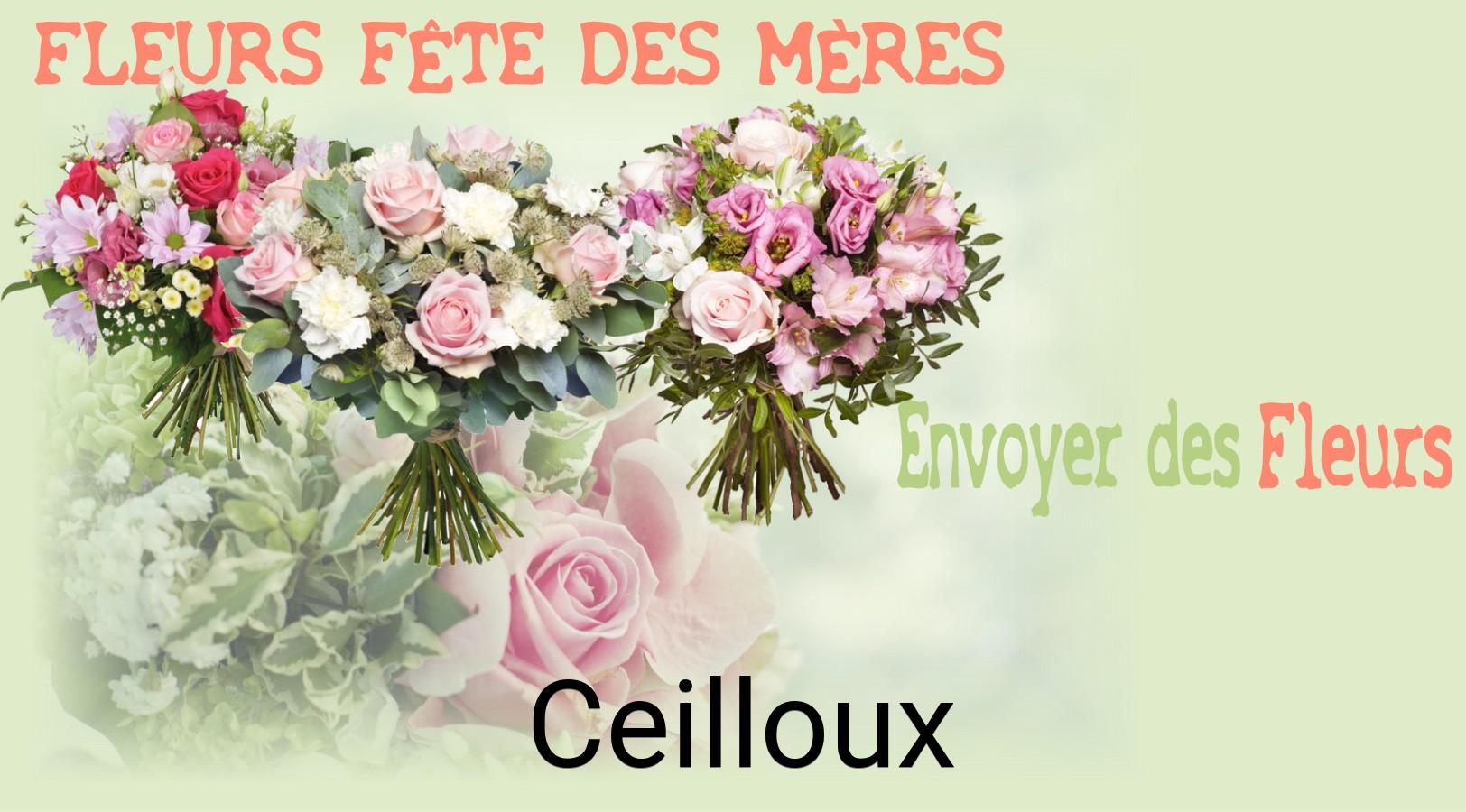 Bouquet de Fête des Mères livré à Ceilloux